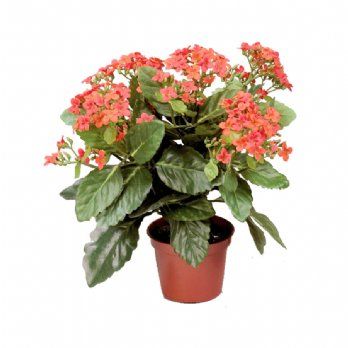 salg af Kunstig orange brændende kærlighed, H30 cm.