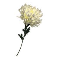 salg af Hvid Krysantemum, 64 cm. - kunstige blomster