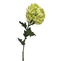 salg af Lime krysantemum, 60 cm. - kunstige blomster