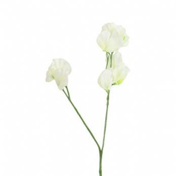 salg af Kunstig ærteblomst, hvid - H43 cm.
