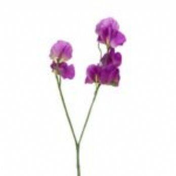 salg af Kunstig ærteblomst, lilla - H43 cm.