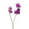 salg af Kunstig ærteblomst, lilla - H43 cm.