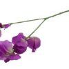 kunstig lilla lathyrus