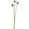 salg af Kunstig allium, 3 stk. - H66 cm.