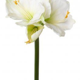 salg af Kunstig amaryllis, hvid H68 cm.