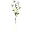 salg af Kunstig anemone, hvid - H80 cm.