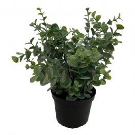 salg af Kunstig eucalyptus i potte, H23 cm.