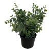 salg af Kunstig eucalyptus i potte, H23 cm.