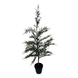 salg af Kunstig cypres i potte, H74 cm.