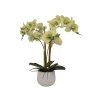 salg af Kunstig lime orkide, 5 grenet - H52 cm.