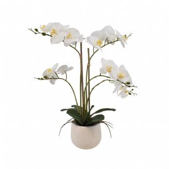salg af Kunstig hvid orkide, 5 grenet - H52 cm.