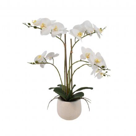 salg af Kunstig hvid orkide, 5 grenet - H52 cm.