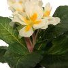 kunstig hvid primula
