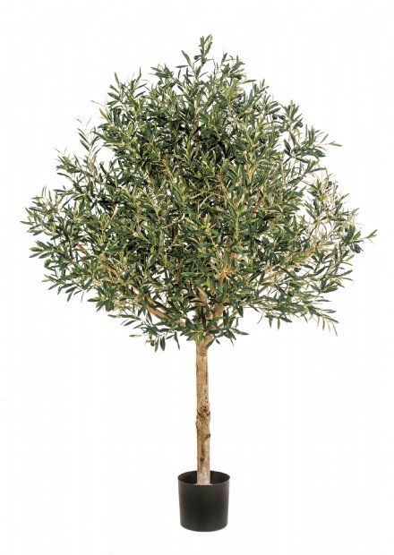 salg af Kunstig oliventræ, H175 cm.
