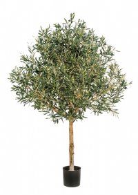 salg af Kunstig oliventræ, H175 cm.
