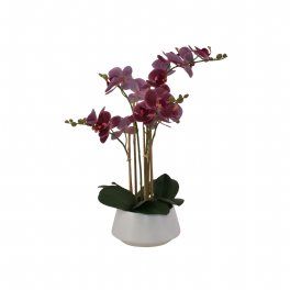salg af Kunstig orkide, bordeaux - 5 grenet - H50 cm.