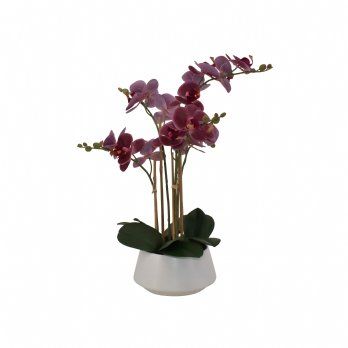 salg af Kunstig orkide, bordeaux - 5 grenet - H50 cm.