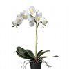 salg af Kunstig orkide, H60 cm.