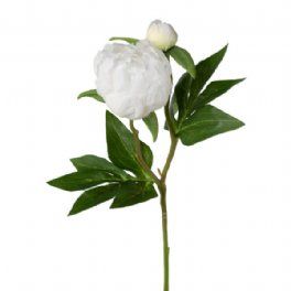 salg af Kunstig pæon, hvid - H45 cm.