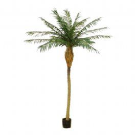 salg af Kunstig palme, phønix H230 cm.