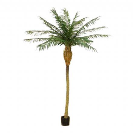 salg af Kunstig palme, phønix H230 cm.