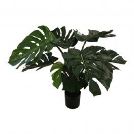 salg af Kunstig philodendron, H65 cm.