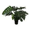 salg af Kunstig philodendron, H65 cm.