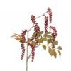 salg af Kunstig Phytolacca, H65 cm.