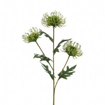 salg af Kunstig protea, H70 cm.