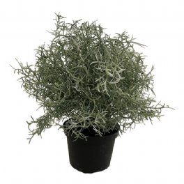 salg af Kunstig vindheks i potte, H20 cm.