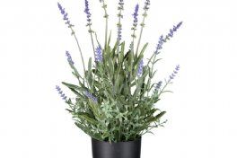 salg af Lavendel i potte, 40 cm. - kunstige planter