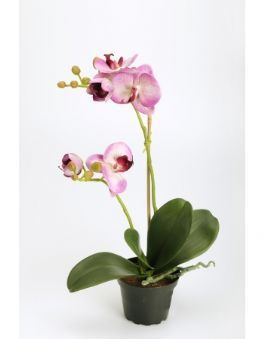 salg af Lilla Orkide, 40 cm. - kunstige Orkider