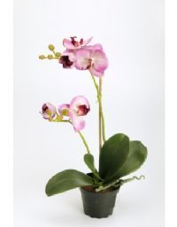salg af Lilla Orkide, 40 cm. - kunstige Orkider