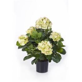 salg af Lime Hortensia, 55 cm. - kunstige blomster