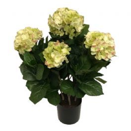 salg af Kunstig lime hortensia, H55 cm.