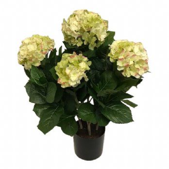 salg af Kunstig lime hortensia, H55 cm.