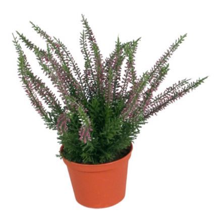 salg af Kunstig Lyng, lilla - 27 cm. - kunstige blomster