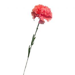 salg af Kunstig lyserød nellike, H45 cm.
