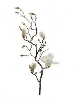 salg af Magnolia gren, hvid - 135 cm. - kunstige blomster
