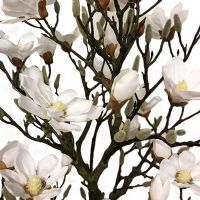 Magnoliatræ, hvid - opstammet - 90 cm. - træer - Kunstige blomstertræer