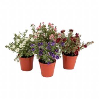 salg af Kunstig lyserød mini blomst, H14 cm.