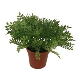 salg af Mini plante med hjerte blade, 15 cm. - kunstige planter