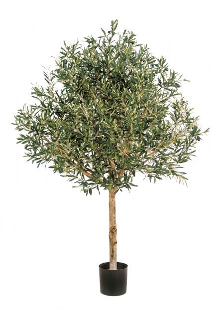 salg af Oliventræ, opstammet - 220 cm. - kunstige træer