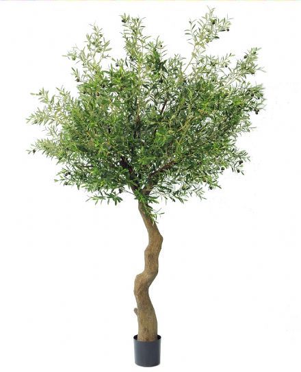 salg af Kunstig oliventræ, H240 cm.