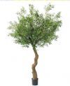 salg af Kunstig oliventræ, H240 cm.