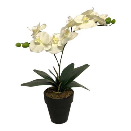 salg af Hvid orkide, 35 cm. - kunstige blomster
