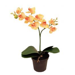 salg af Fersken orkide, 30 cm. - kunstige planter