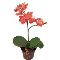 salg af Gl. rosa orkide, 30 cm. - kunstige planter