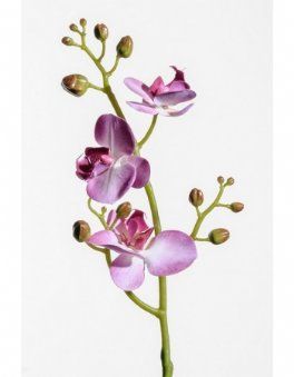 salg af Orkide, lilla - 45 cm. - kunstige blomster
