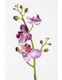 salg af Orkide, lilla - 45 cm. - kunstige blomster
